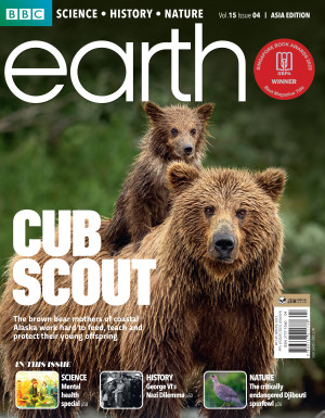 BBC Earth Magazine: Cub Scout (Vol.15 Issue 4) by Cheryl Tay from BBC EARTH in Magazine category